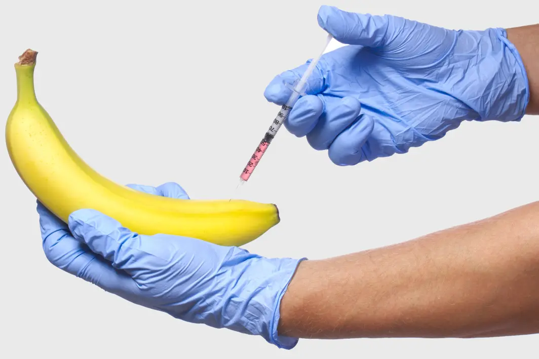 Banana being injected with PRP for sexual wellness